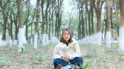 bevictor伟德官网