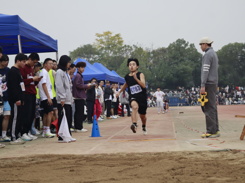 bevictor伟德官网