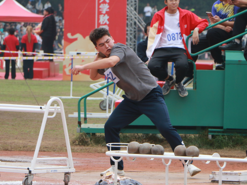 bevictor伟德官网