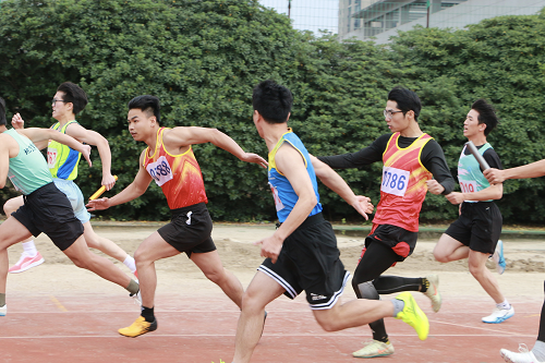 bevictor伟德官网