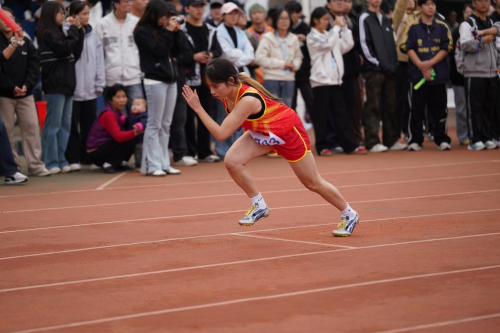 bevictor伟德官网