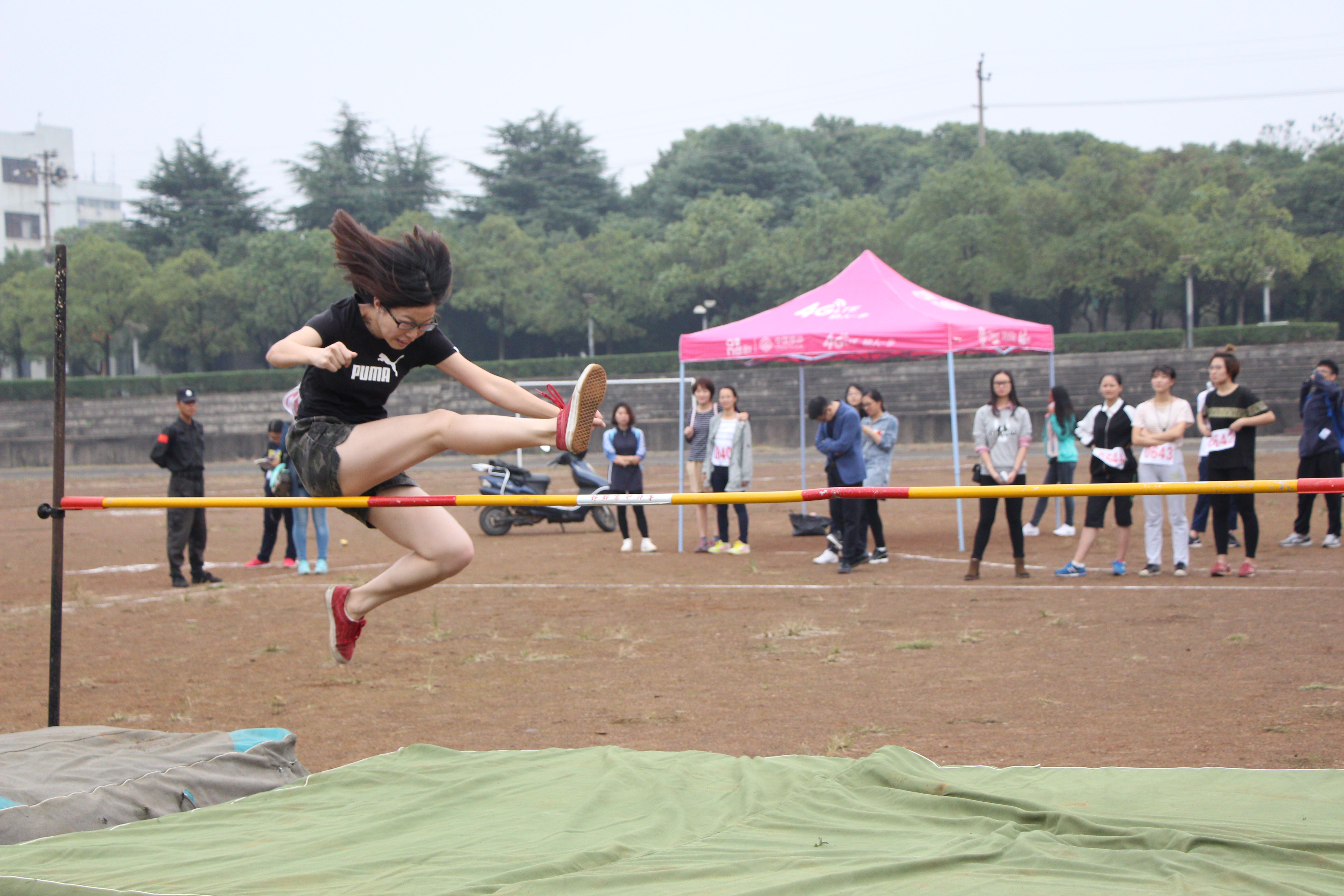 bevictor伟德官网
