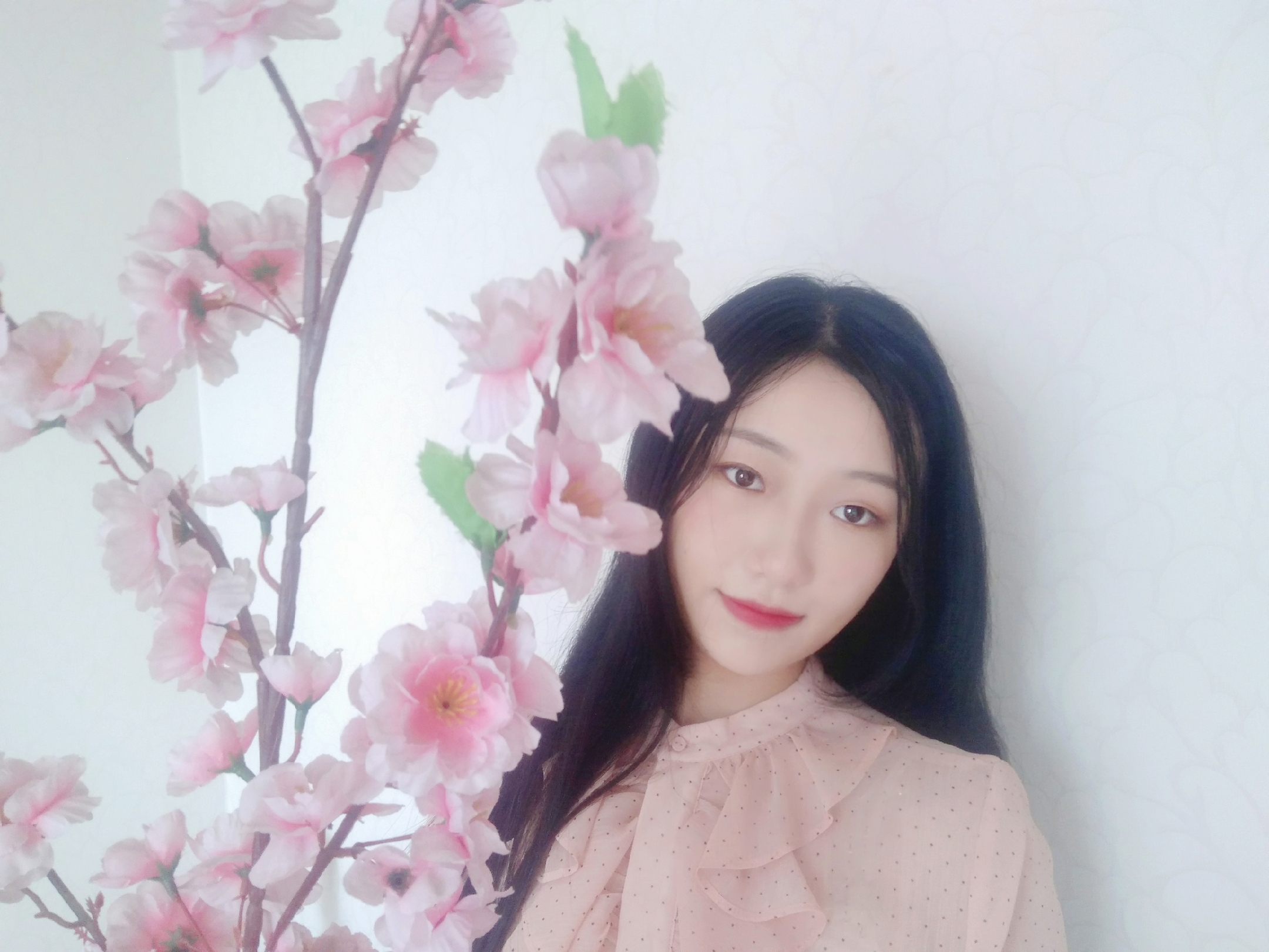 bevictor伟德官网